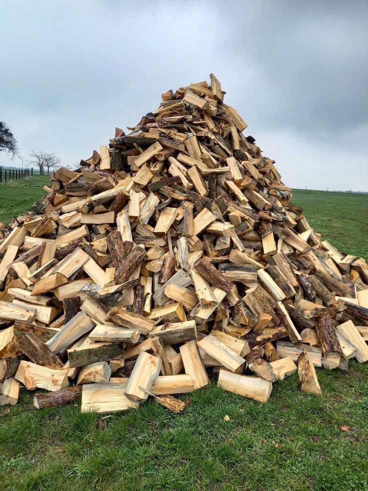 Bûches de bois sec gros plan